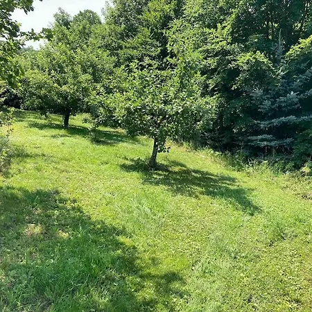 Appartement Ferienwohnung Niederstetten