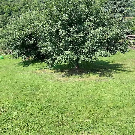 Appartement Ferienwohnung Niederstetten